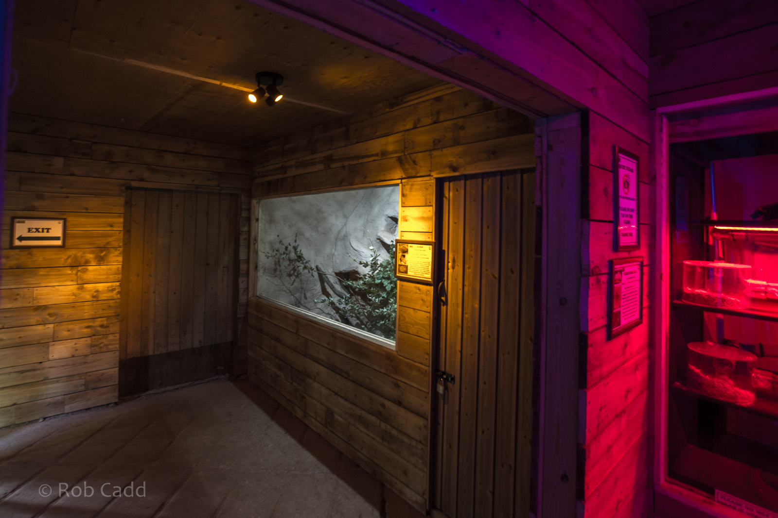 Little Africa (exhibit) : Cotswold WP : 14 Aug 2016