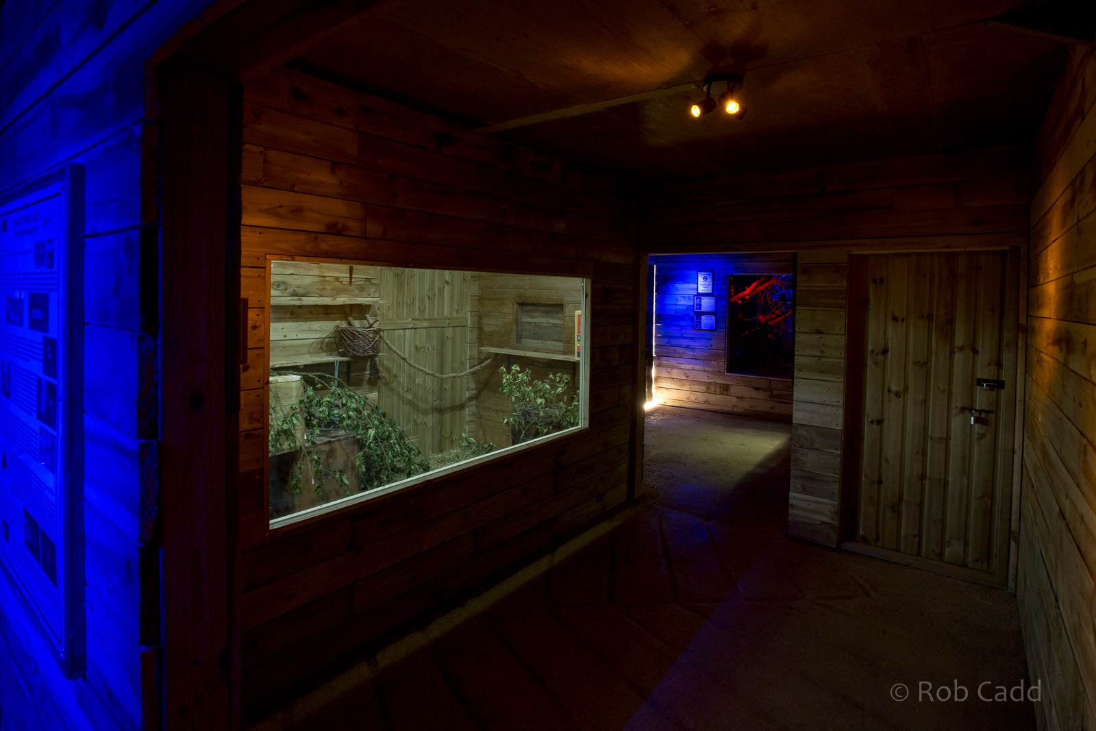 Little Africa (exhibit) : Cotswold WP : 14 Aug 2016