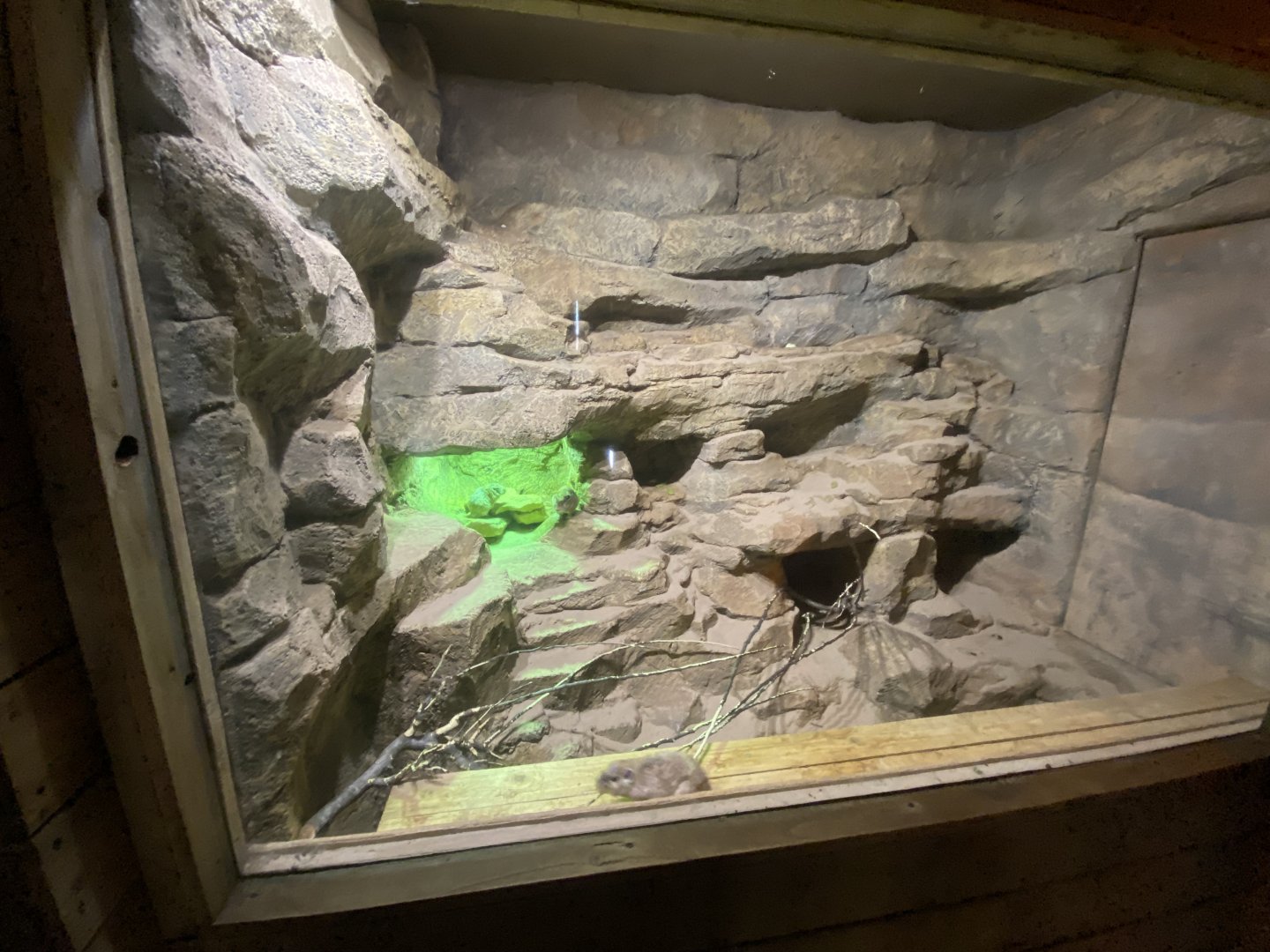 Little Africa - Gundi exhibit 150524