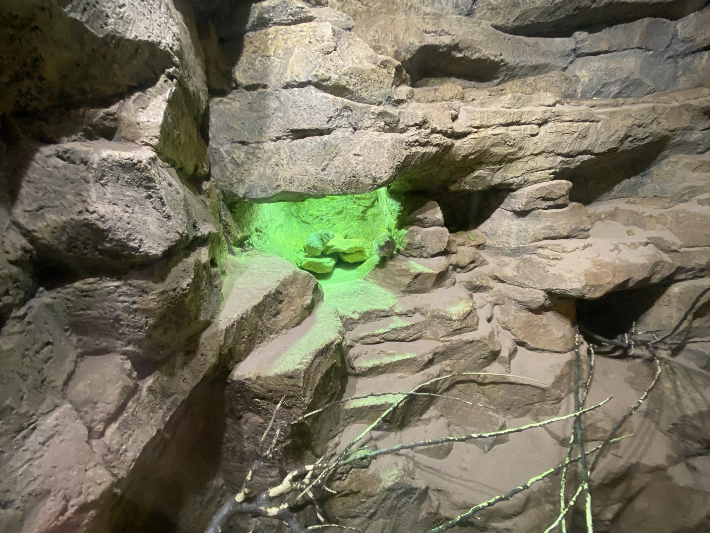 Little Africa - Gundi exhibit 150524