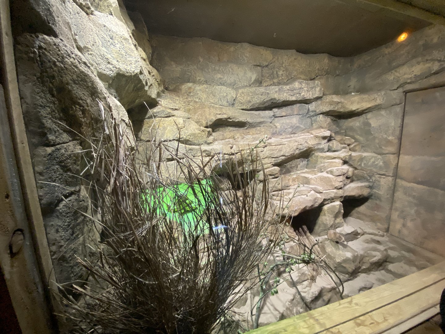 Little Africa - Gundi exhibit 280423