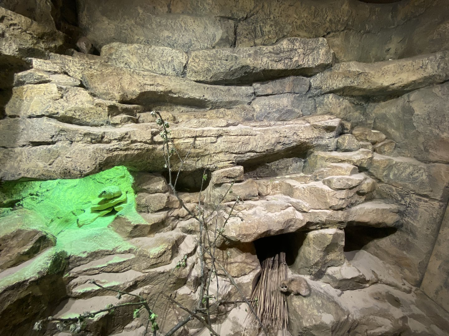 Little Africa - Gundi exhibit 280423