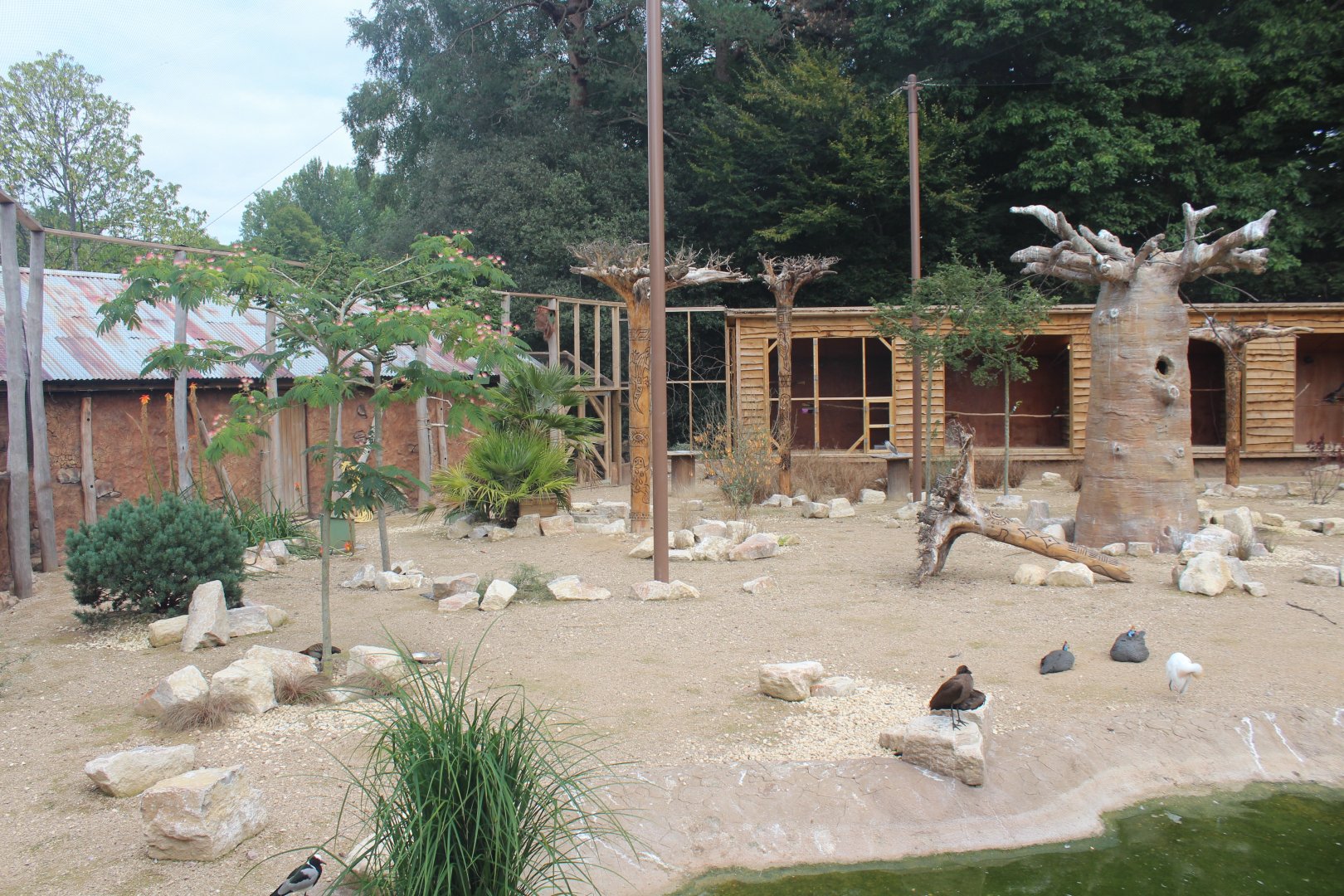 "Little Africa" - walk-in aviary