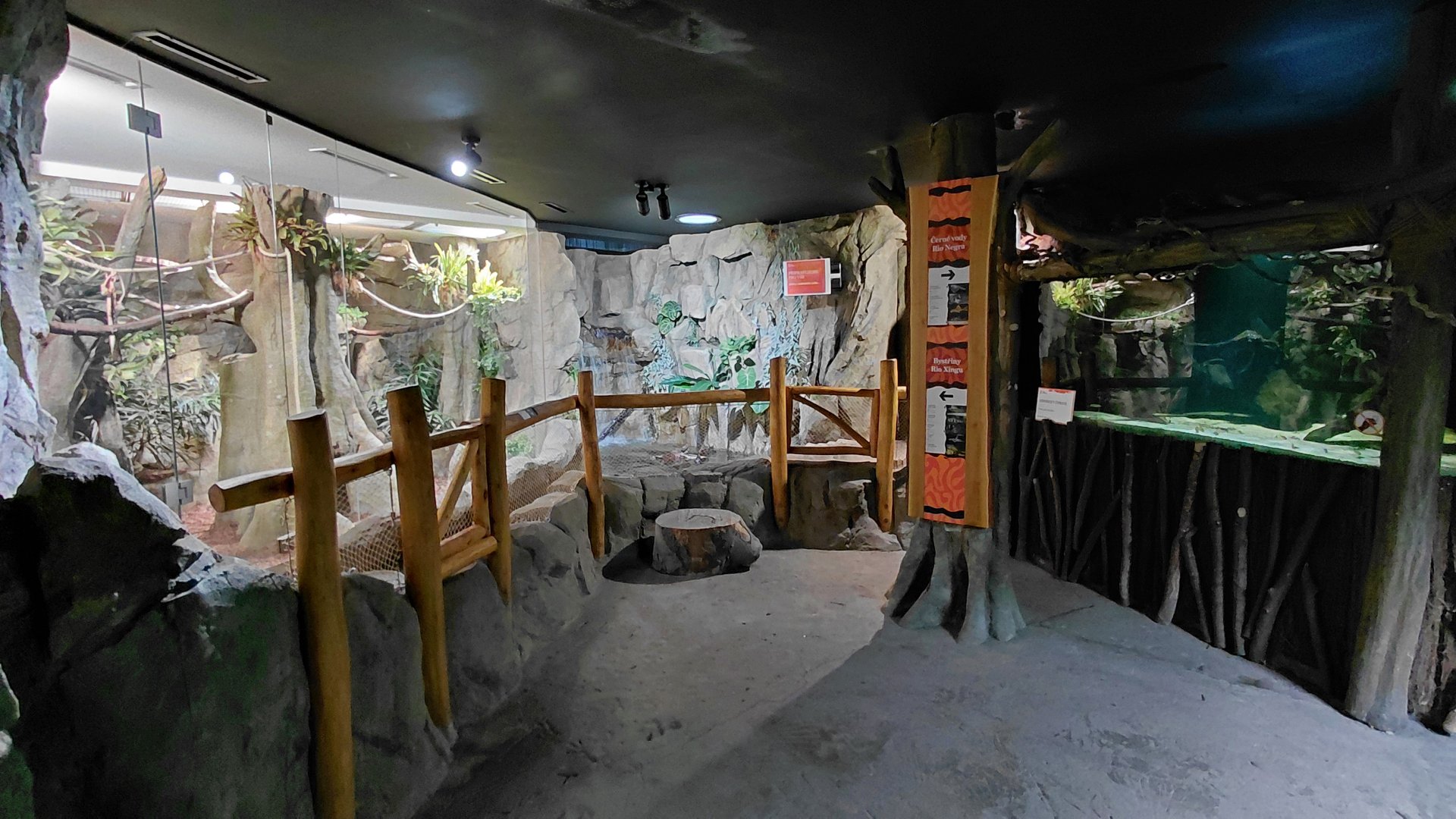 Little Amazon house - indoors