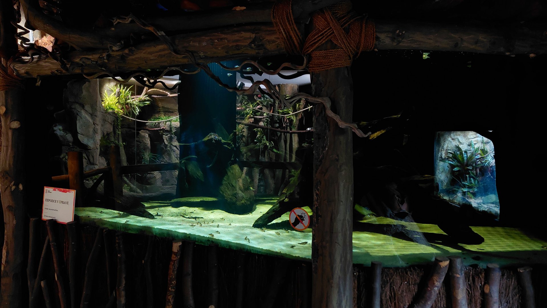 Little Amazon - Rio Negra tank