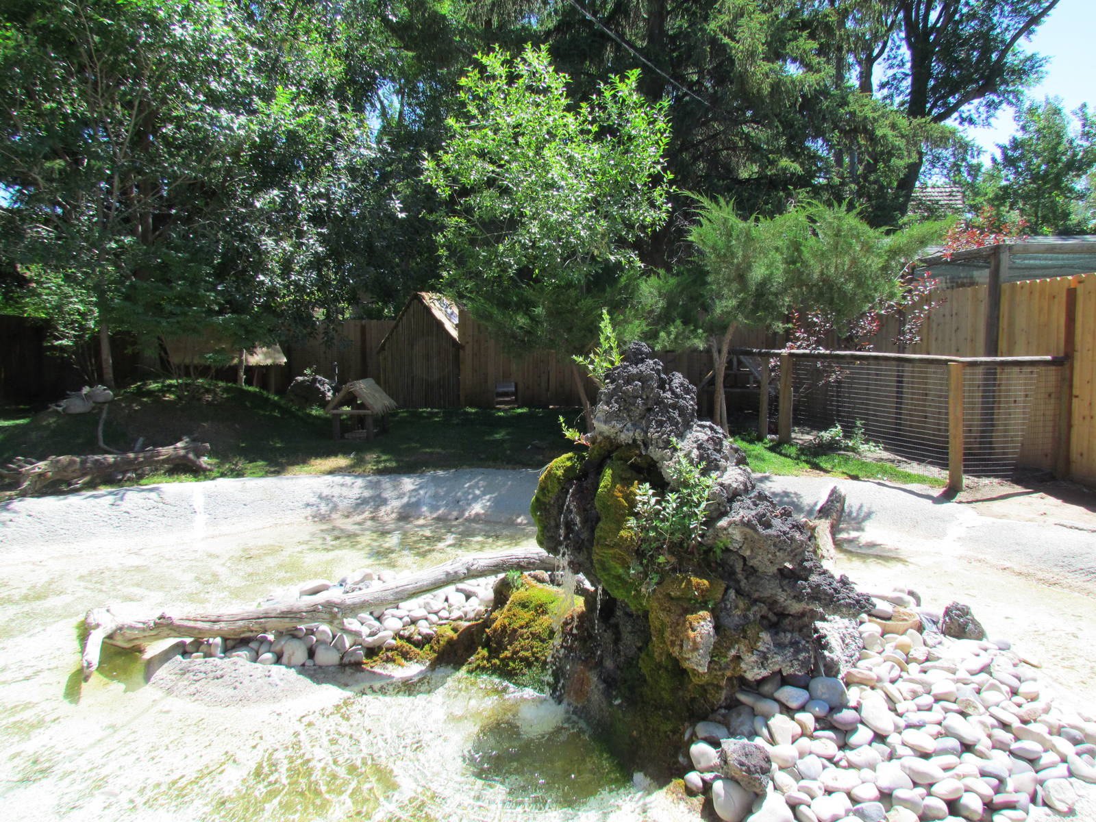 Little Asia - Muntjac, Crane, Goose, and Mandarin Duck