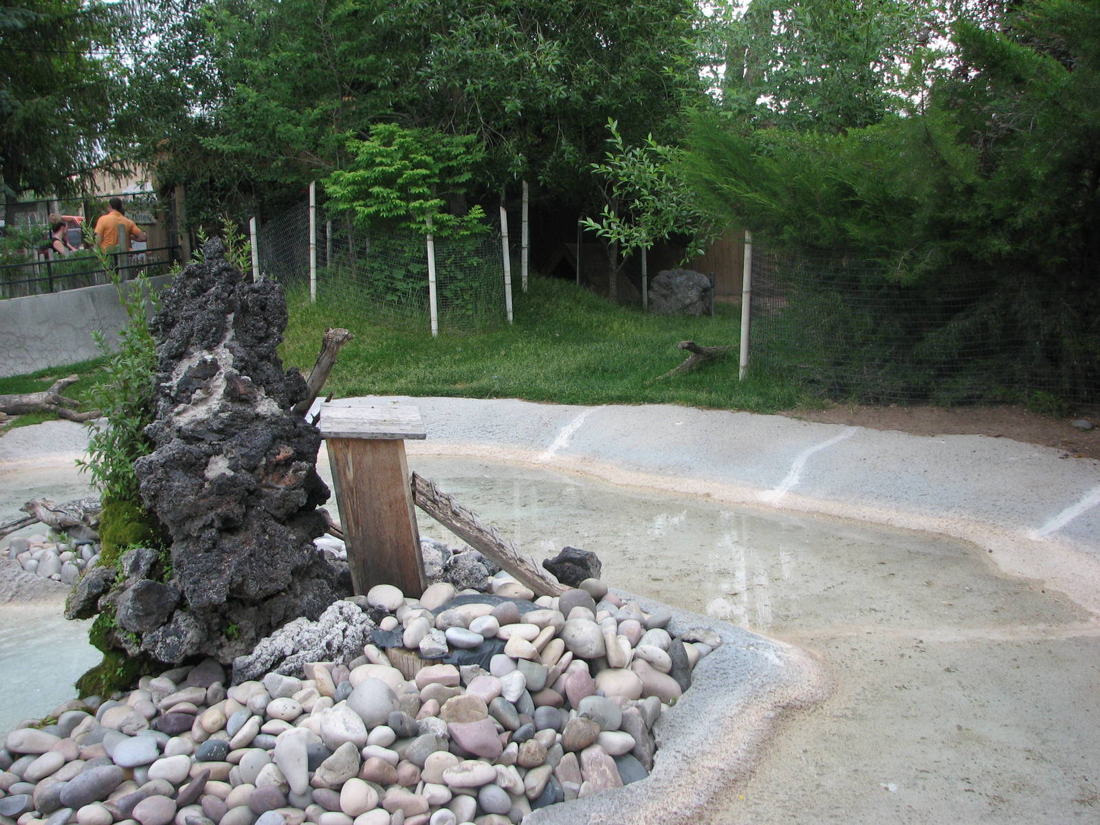 Little Asia - Reeve's Muntjac, Demoiselle Crane, Mandarin Duck Exhibit