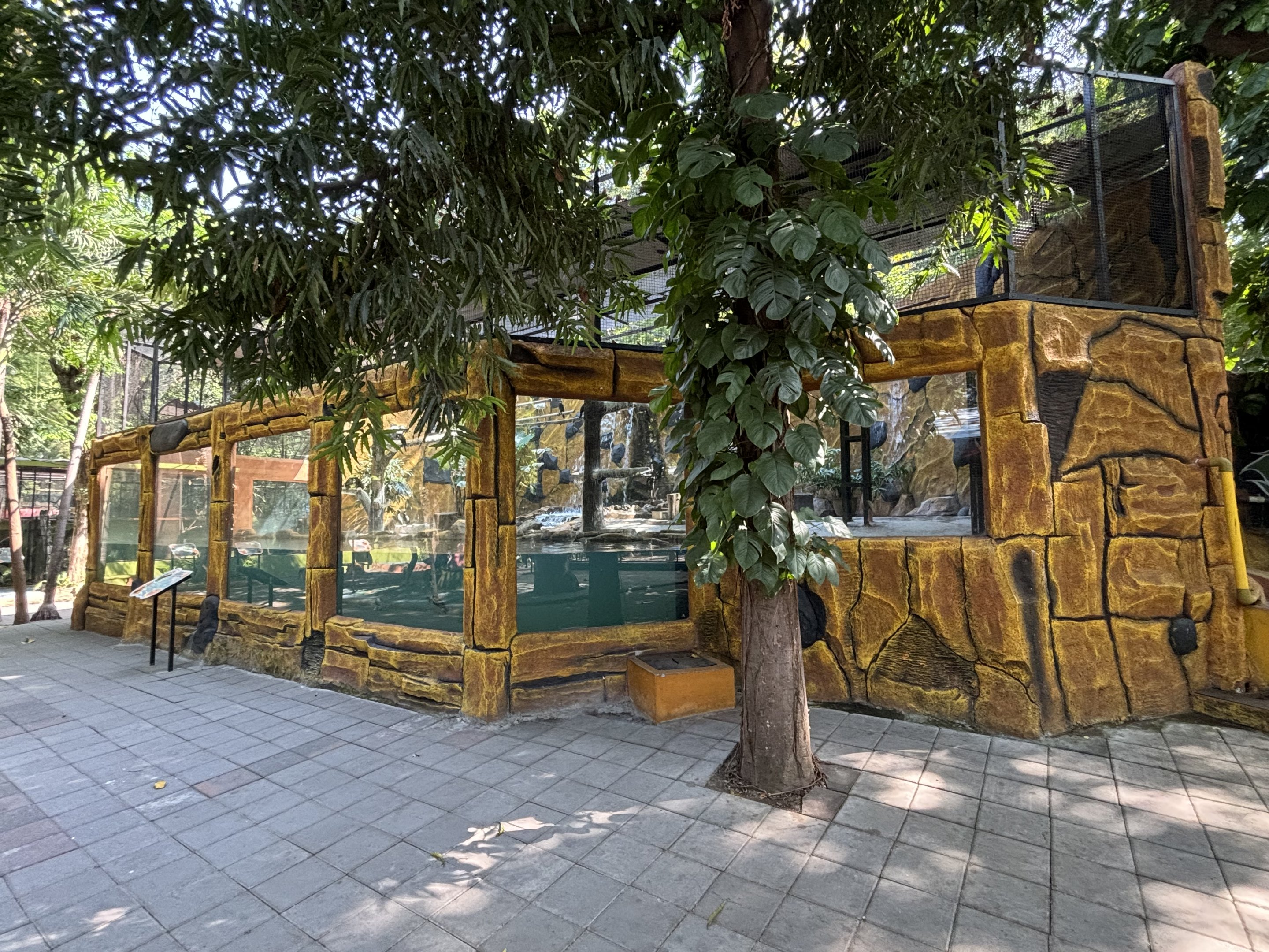 Little Black Cormorant Aviary