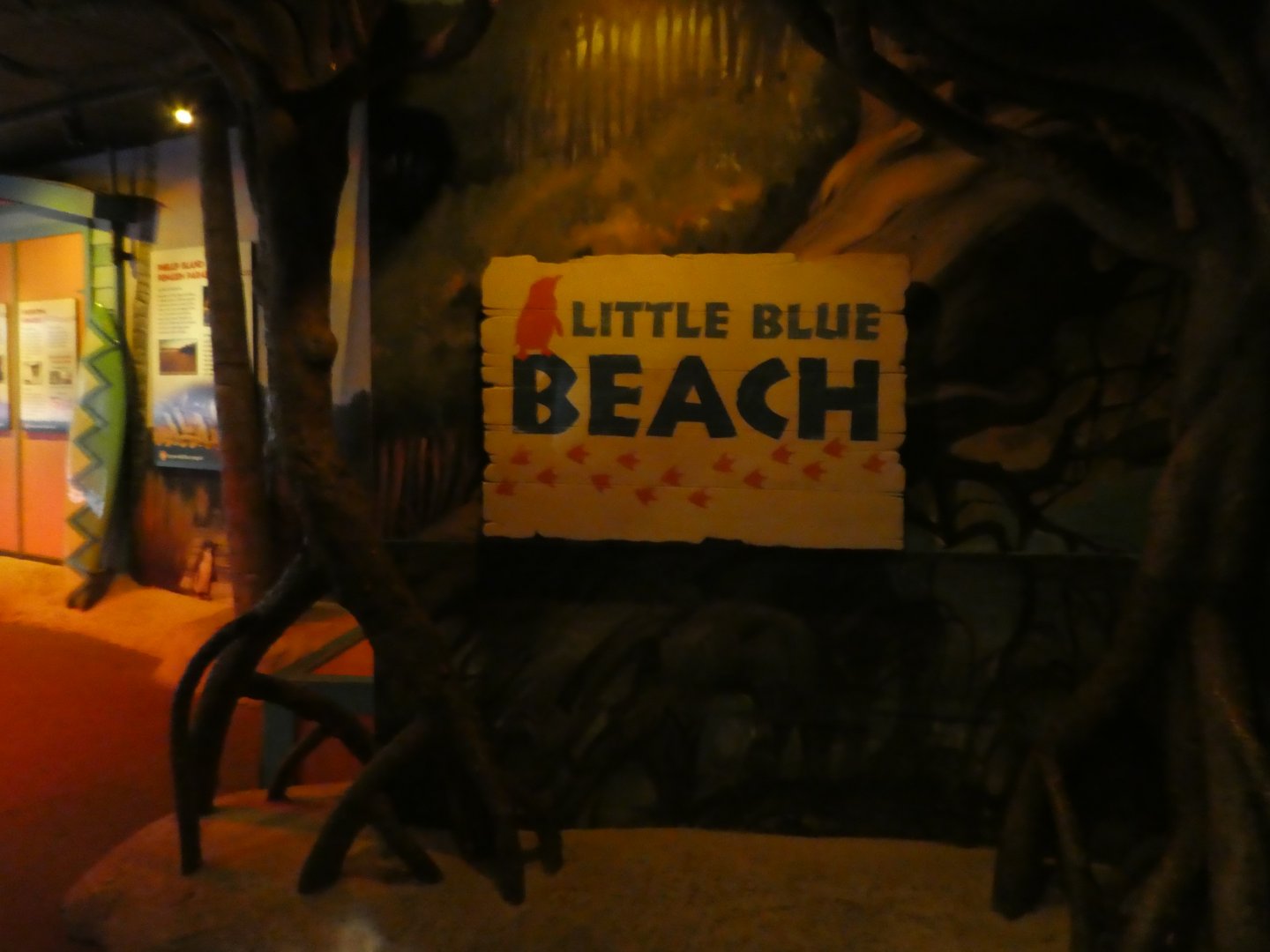 Little Blue Beach - Entry