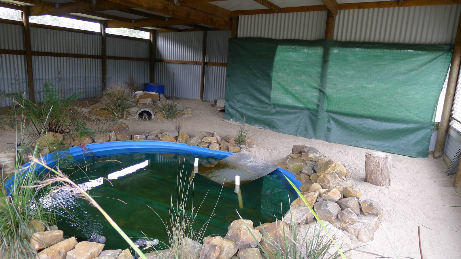 Little Blue Penguin enclosure