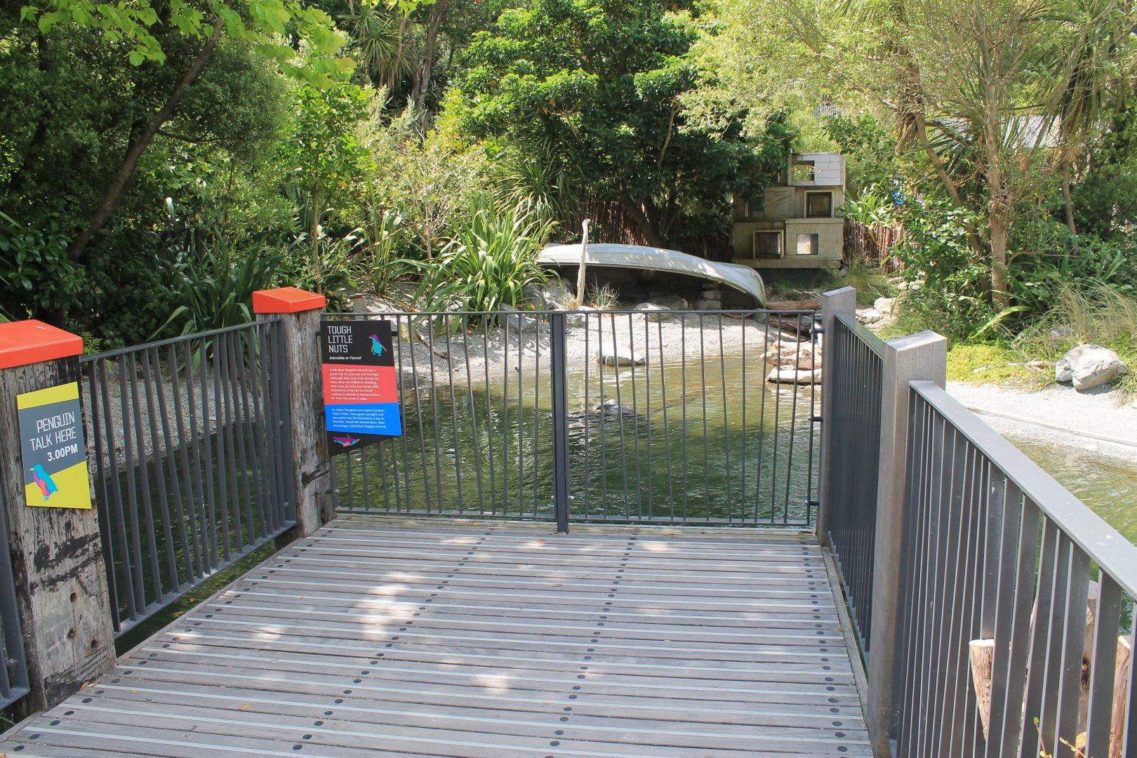 Little Blue Penguin enclosure