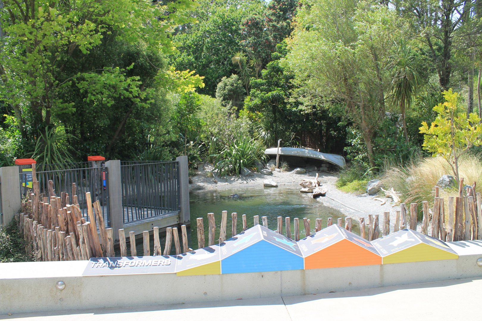 Little Blue Penguin enclosure