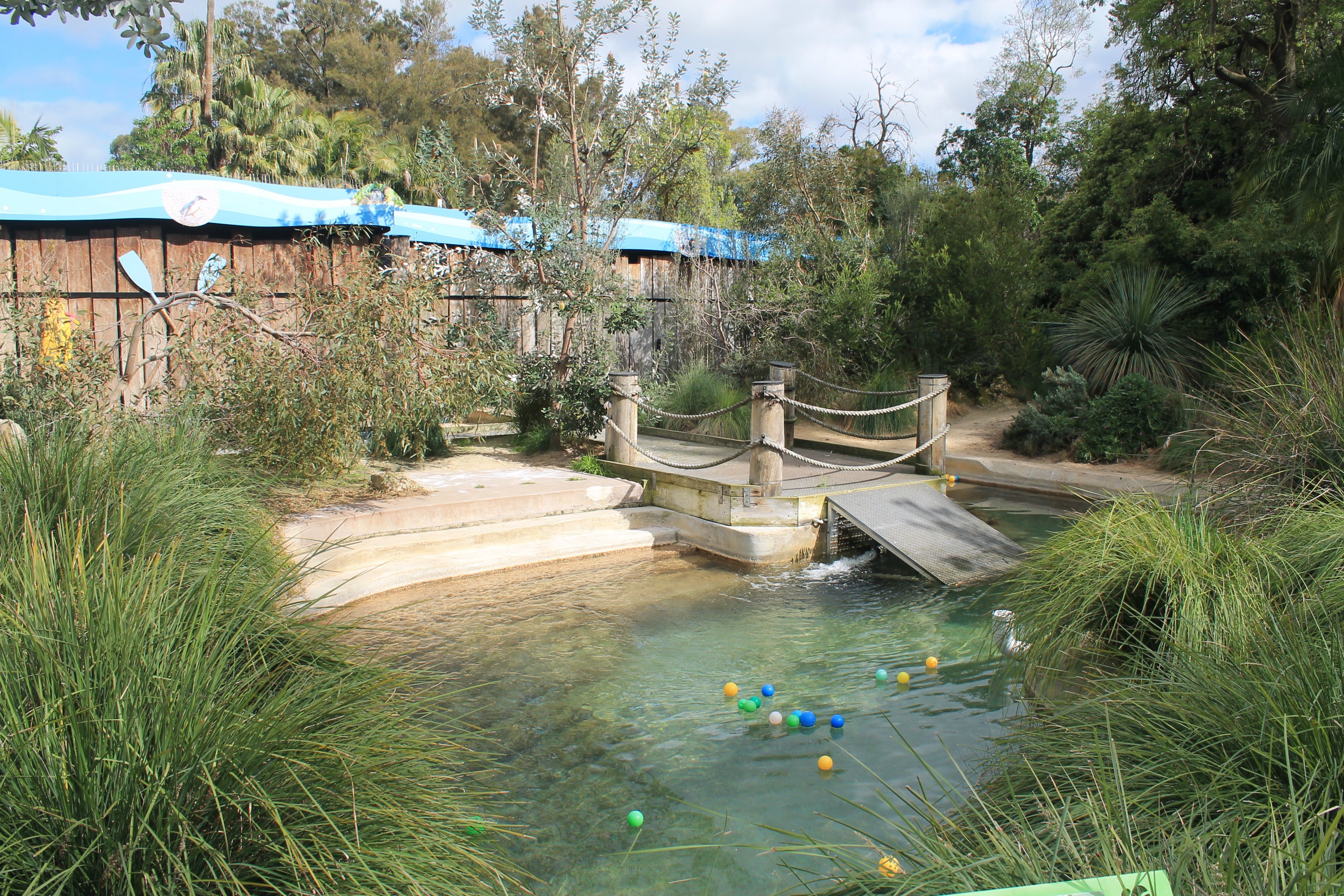 Little Blue Penguin enclosure