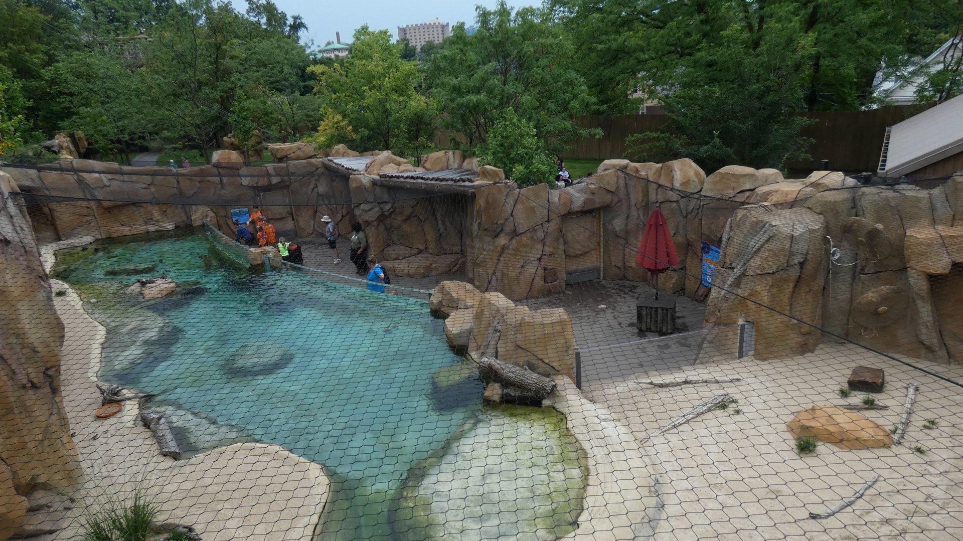 Little Blue Penguin Exhibit, Roo Valley - Aug. 2021