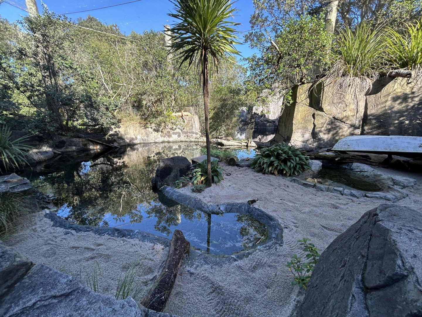 Little Blue Penguin Exhibit - Te Wao Nui