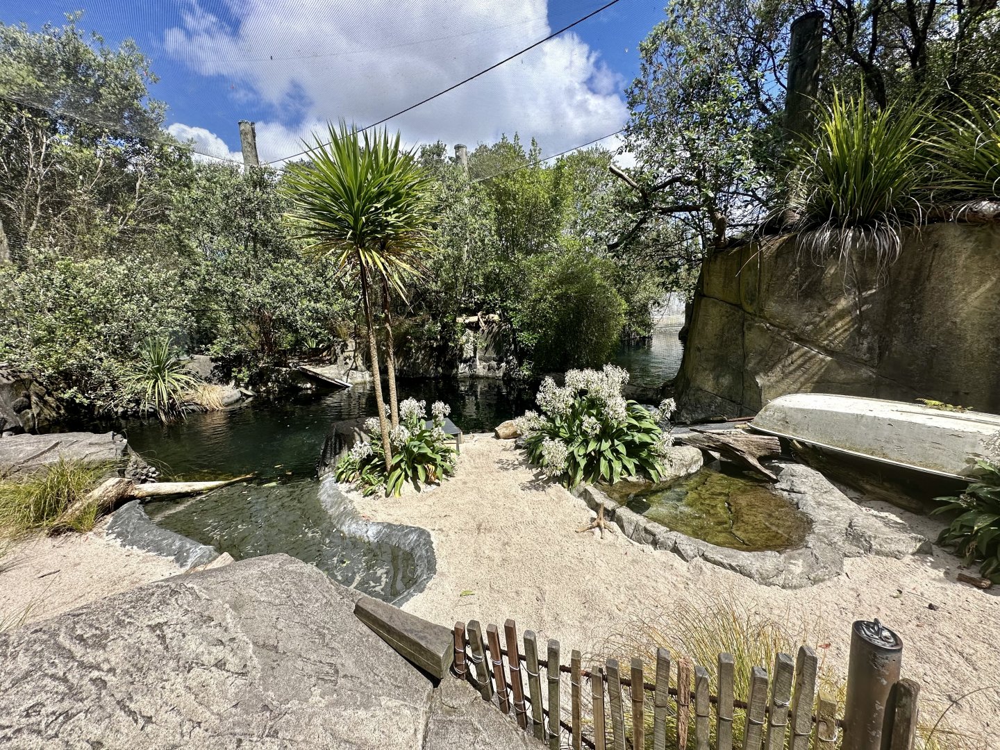 Little Blue Penguin Exhibit (The Coast)