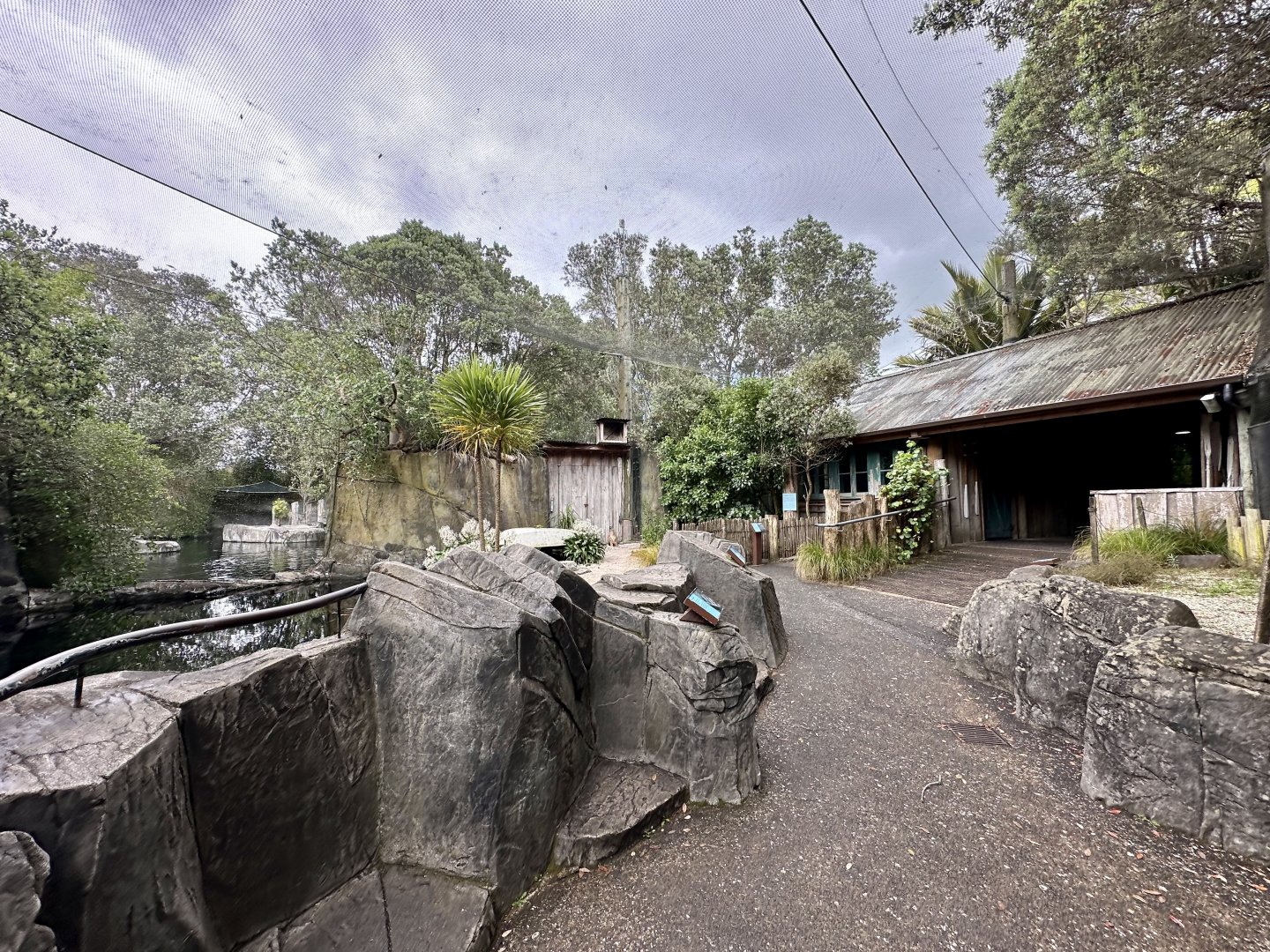 Little Blue Penguin Exhibit (The Coast)