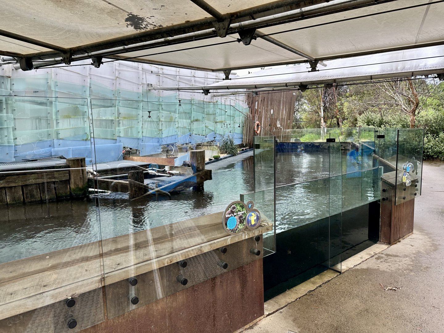 Little Blue Penguin Exhibit