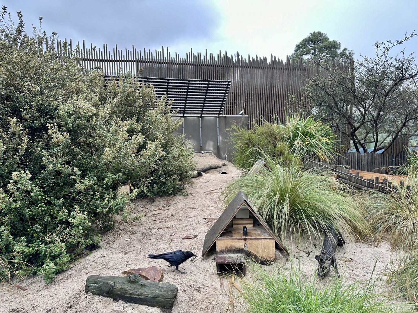 Little Blue Penguin Exhibit