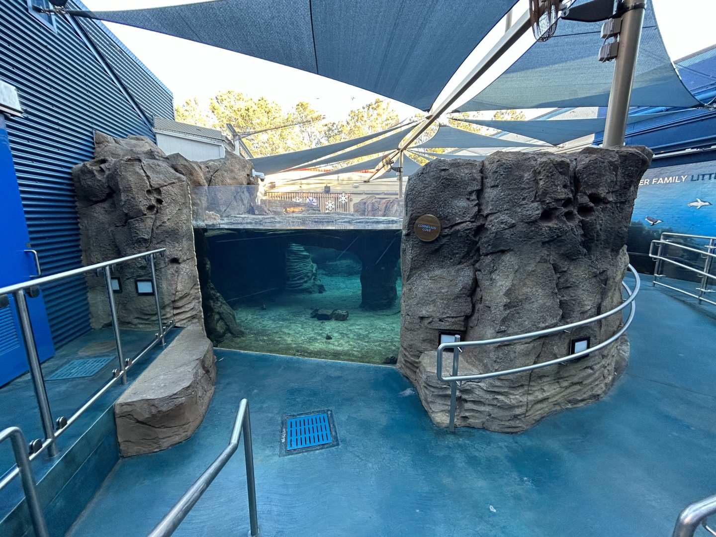 Little Blue Penguin Exhibit