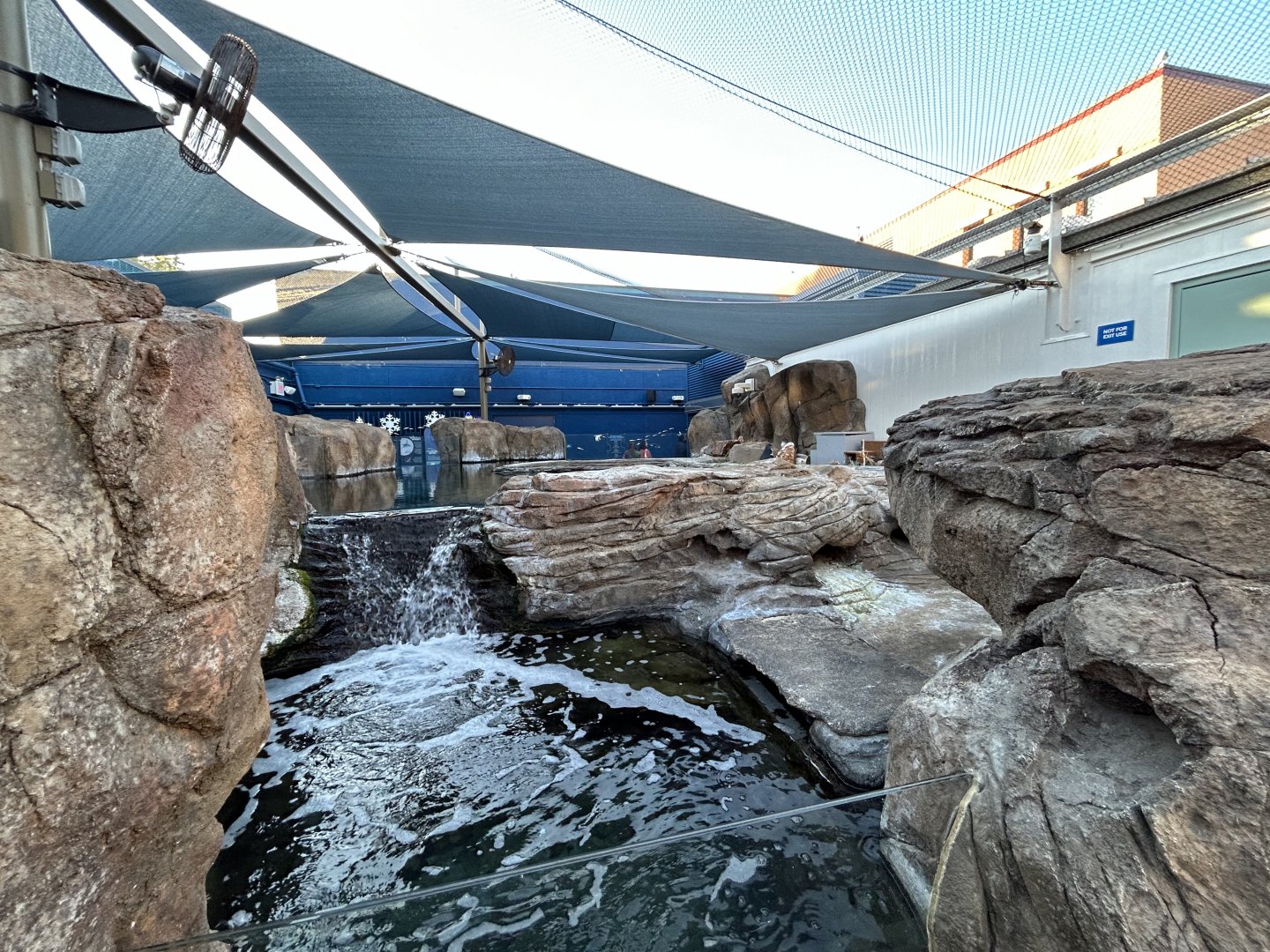 Little Blue Penguin Exhibit