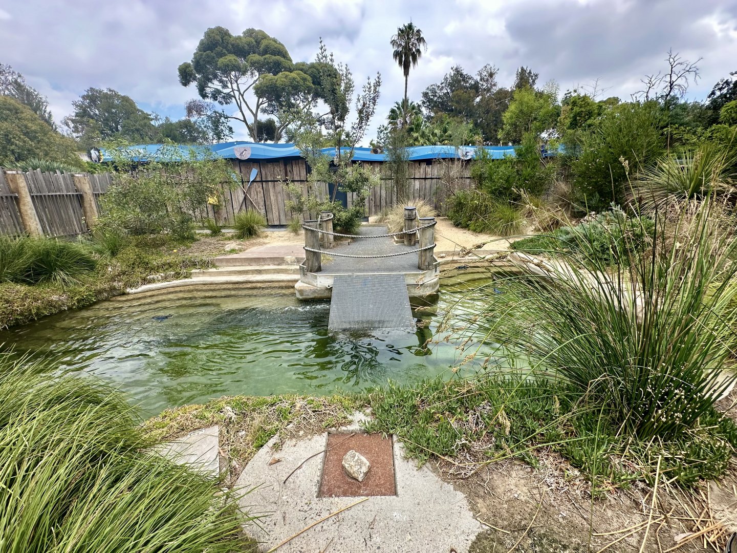 Little Blue Penguin Exhibit