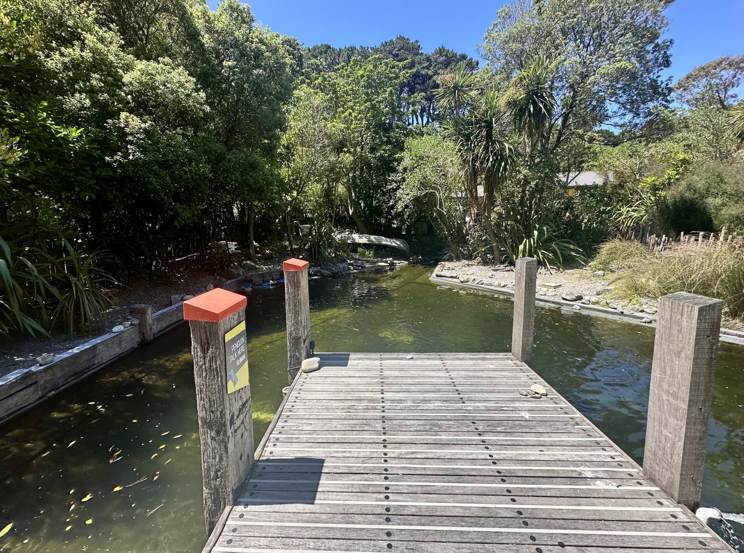 Little Blue Penguin Exhibit