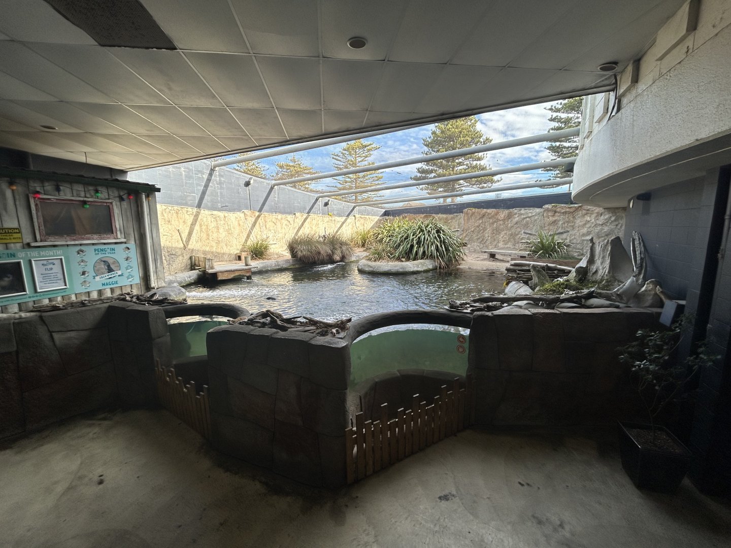 Little Blue Penguin Exhibit