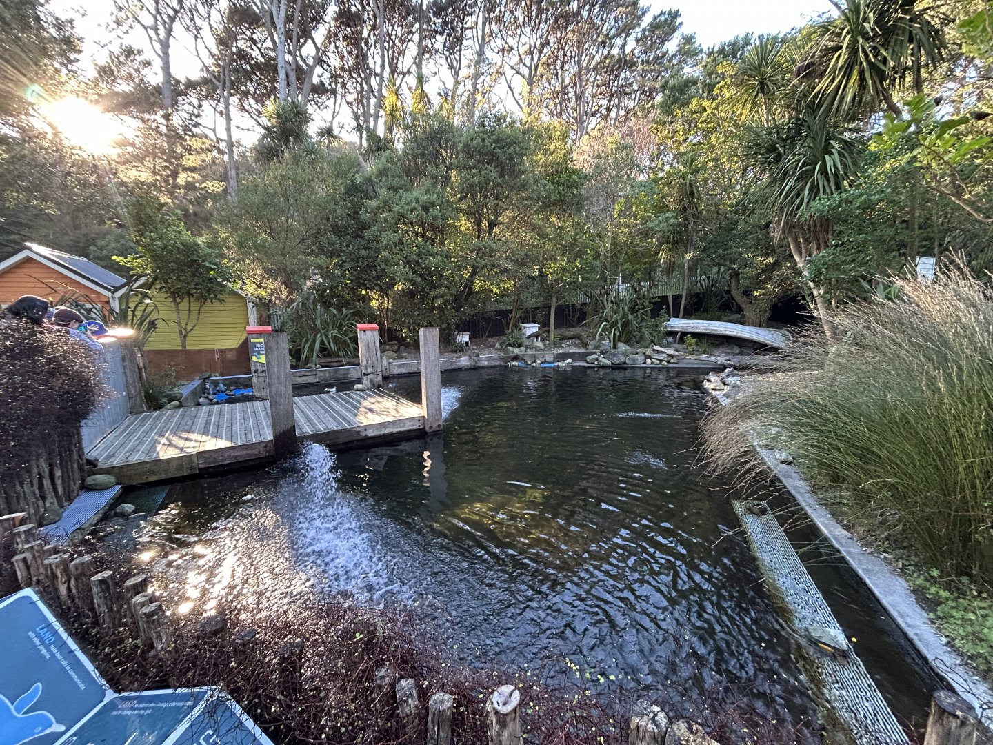 Little Blue Penguin Exhibit