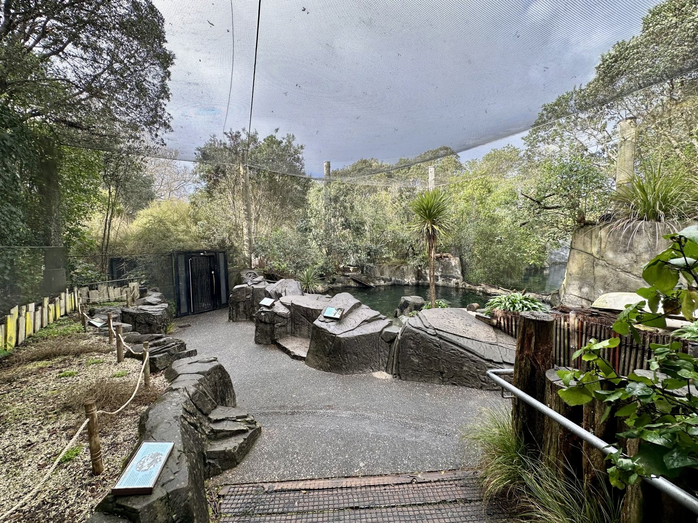 Little Blue Penguin Exhibit