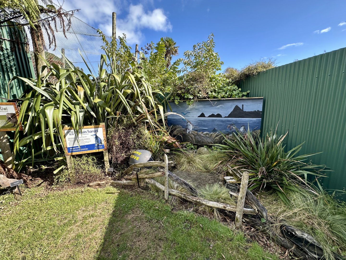 Little Blue Penguin Garden