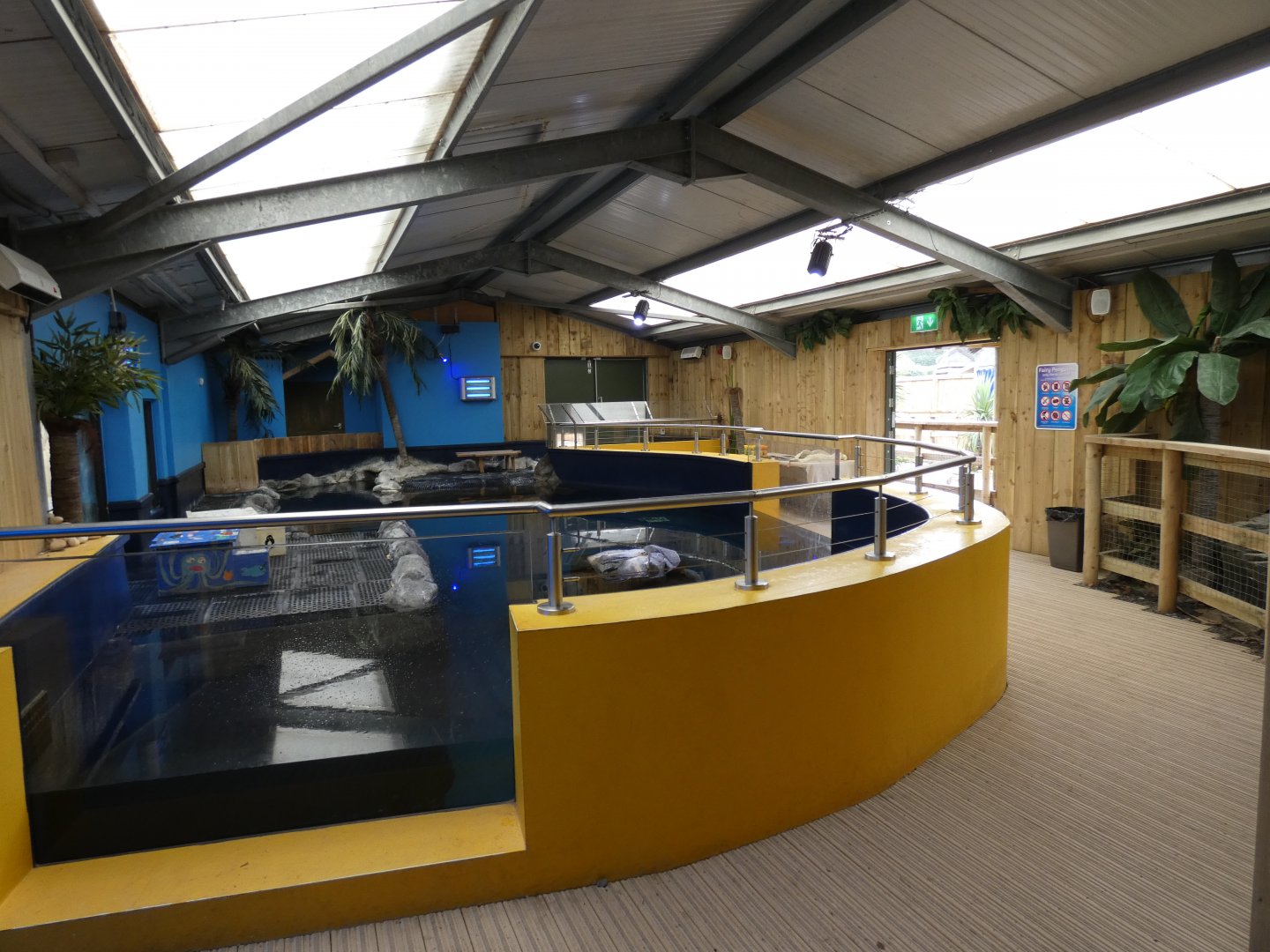 Little Blue Penguin house