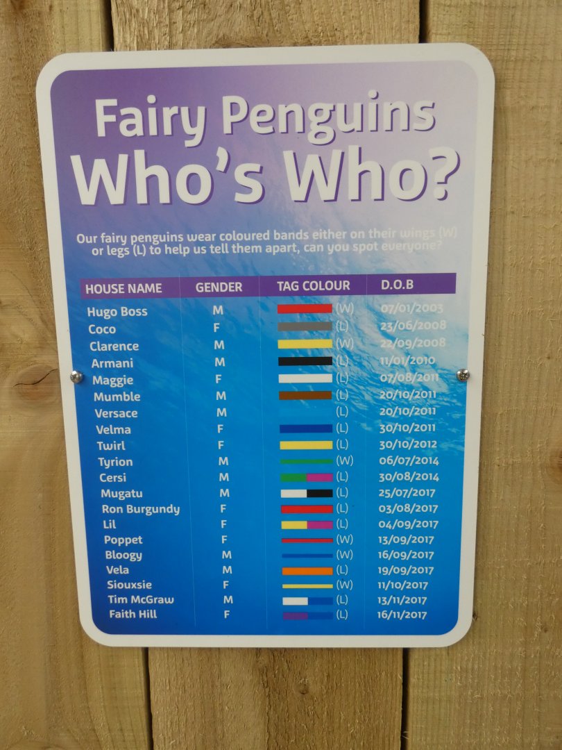 Little Blue Penguin ID signange