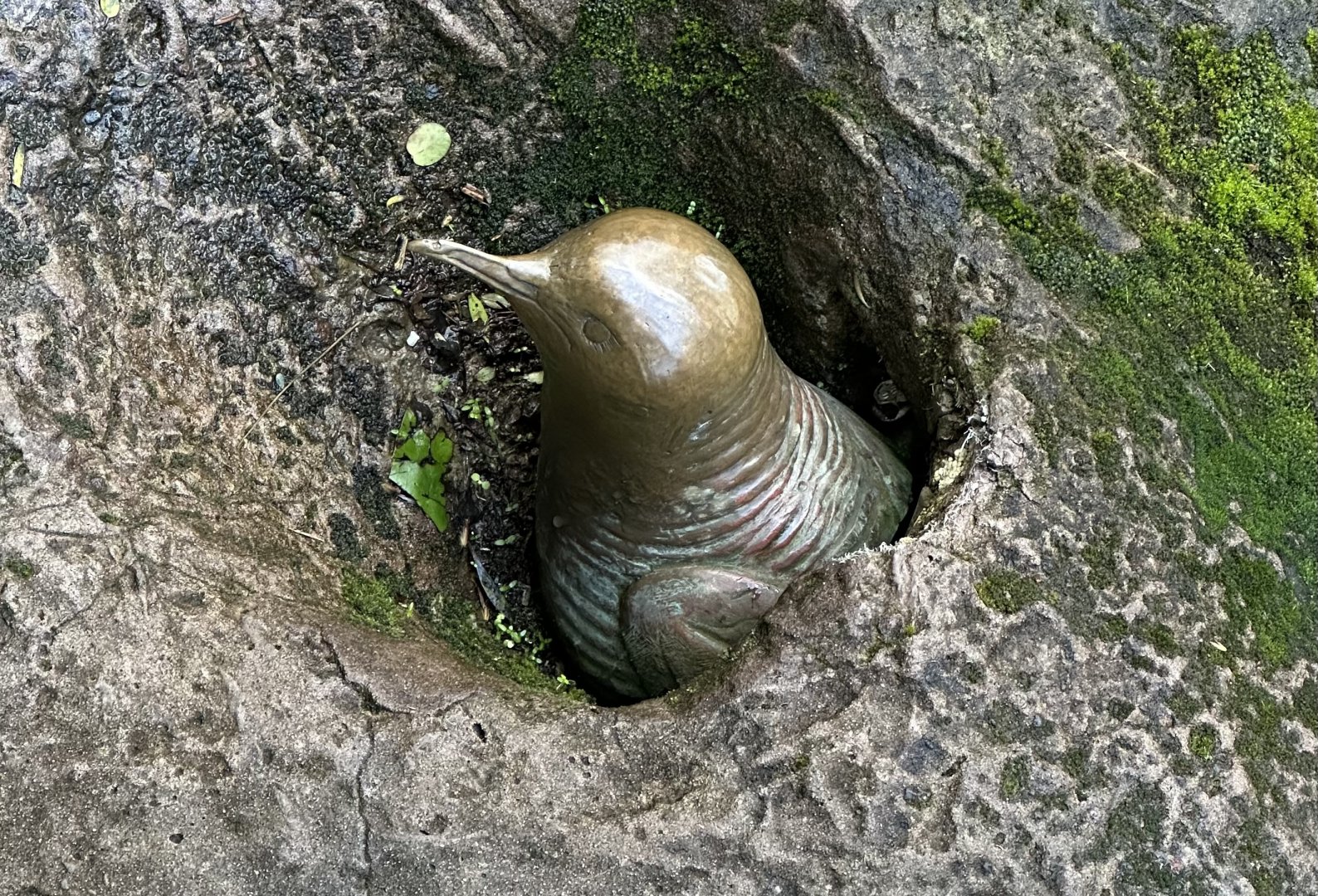 Little Blue Penguin Sculpture