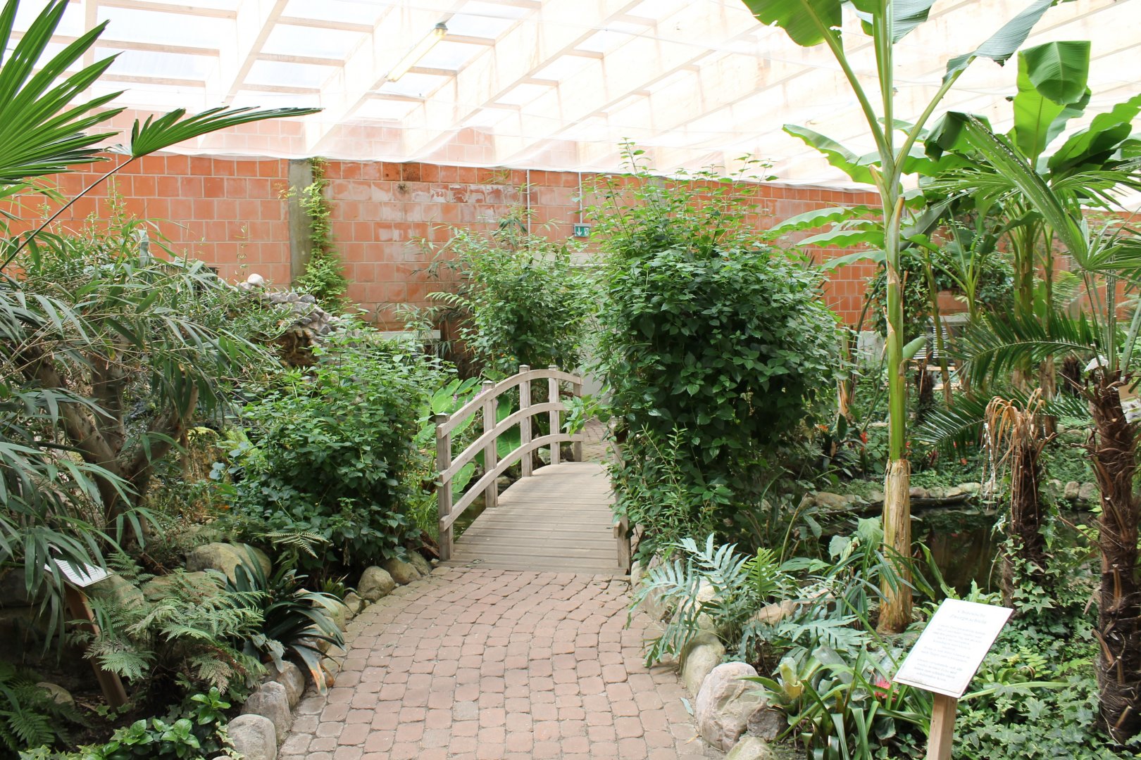 Little bridge in the Hall