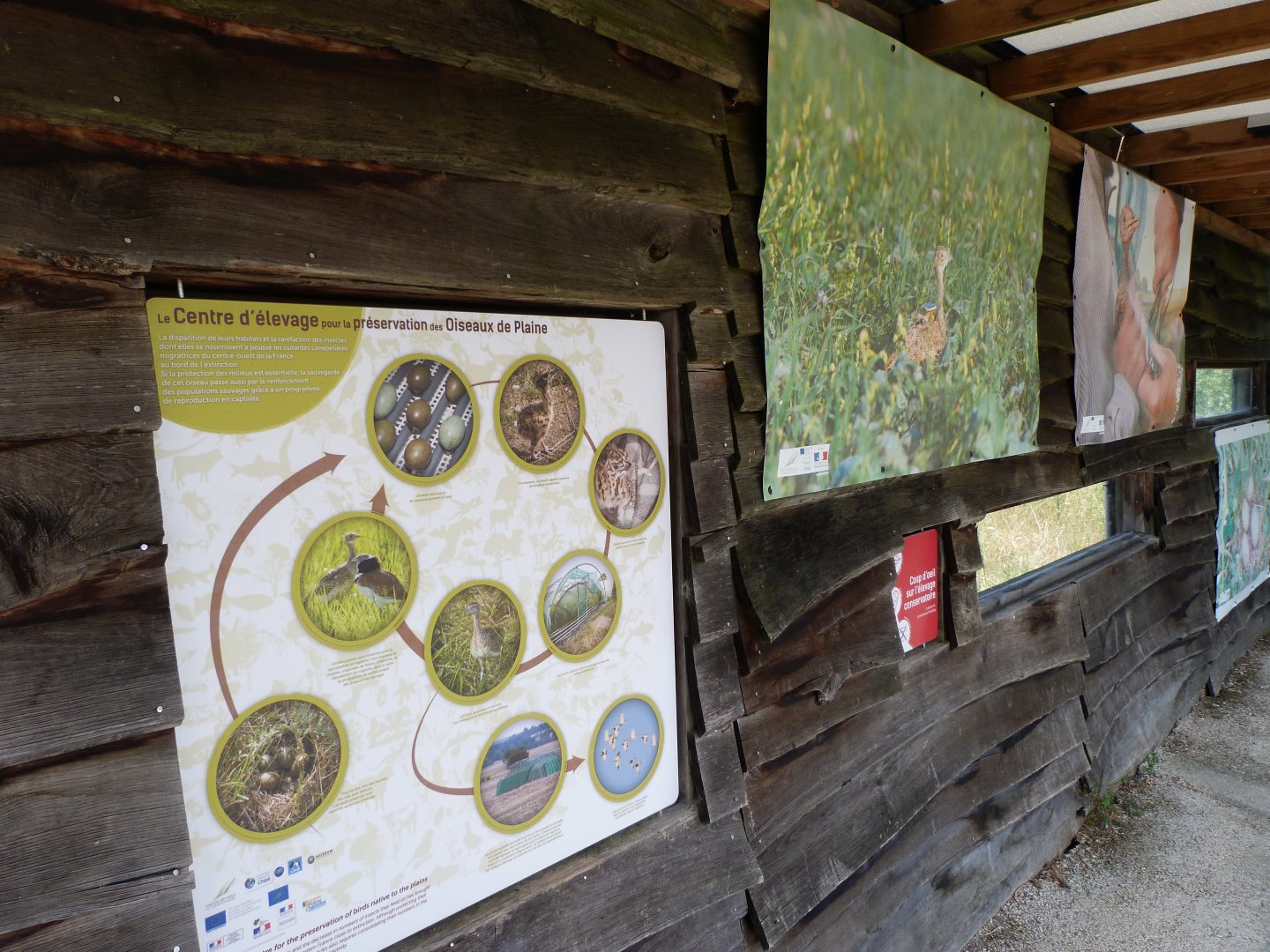 Little bustard interpretation center and hide -Zoodyssée (2025)
