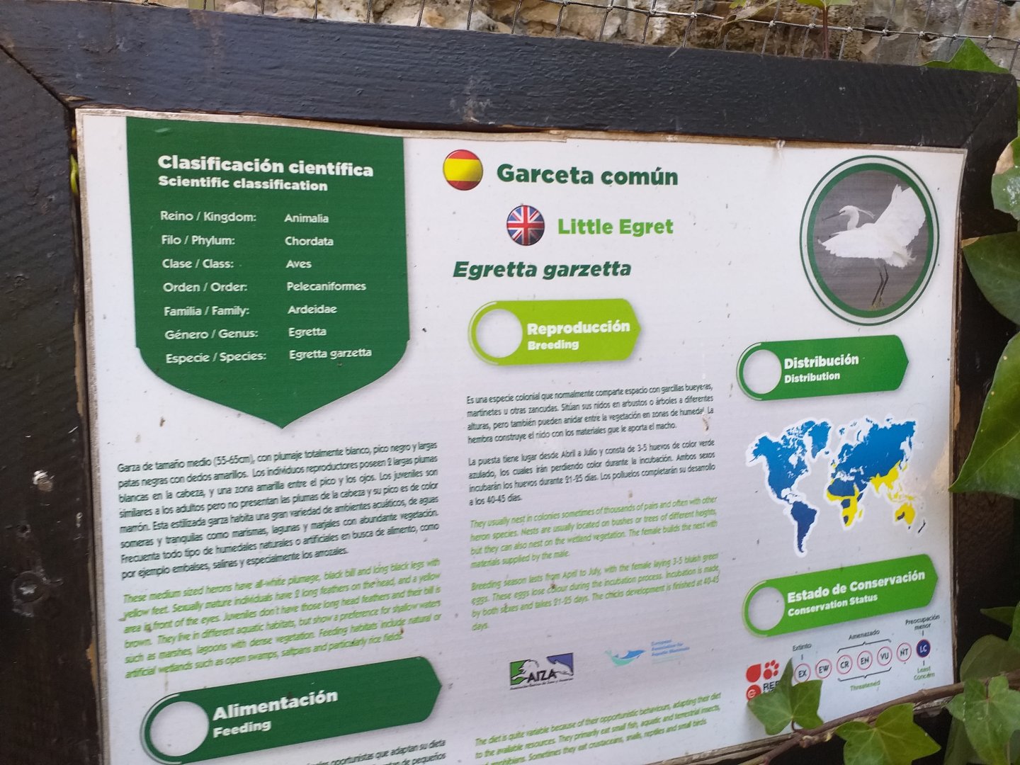 Little egret sign -MundoMar Benidorm (2021)