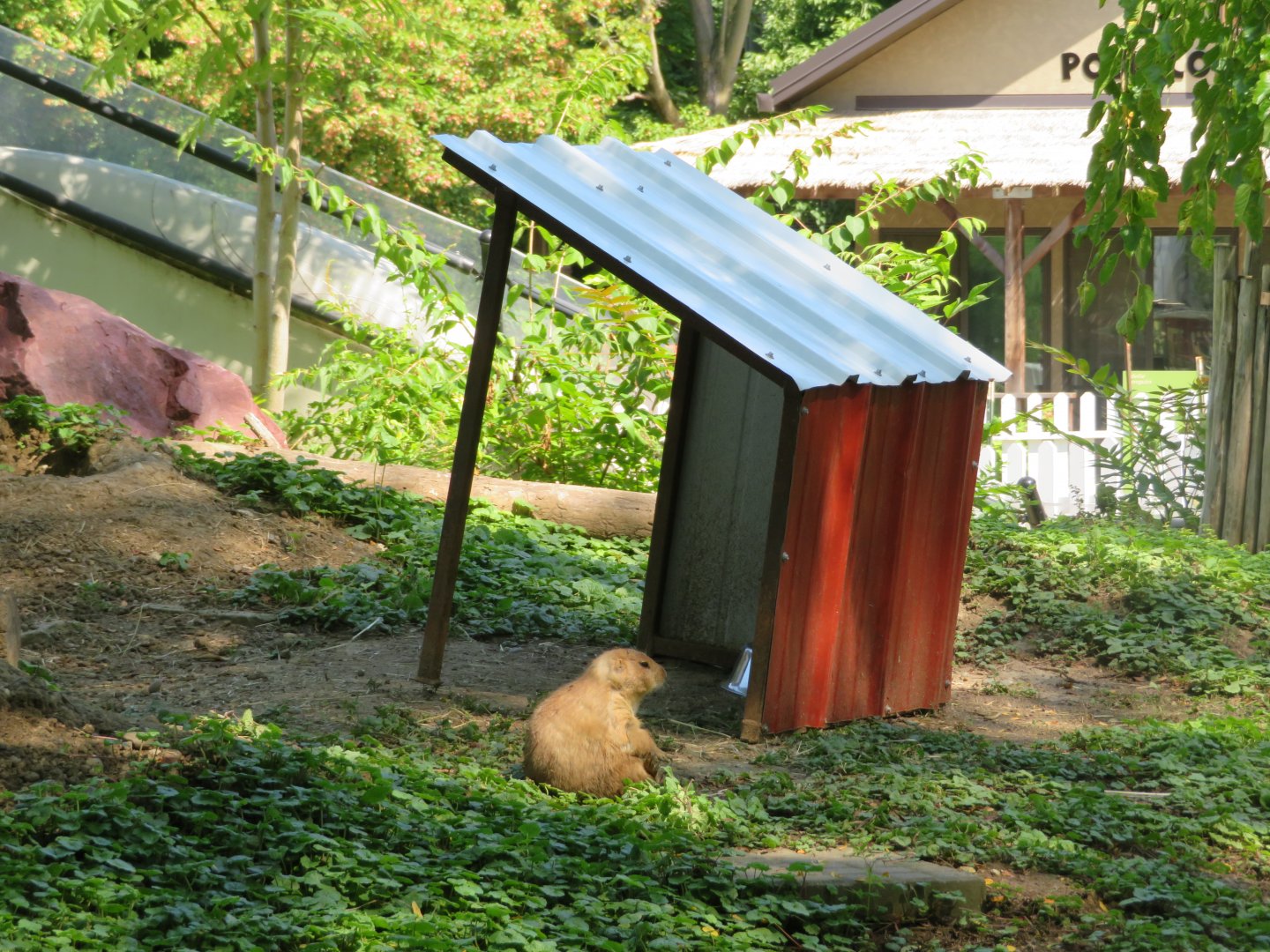 Little House on the Prairie