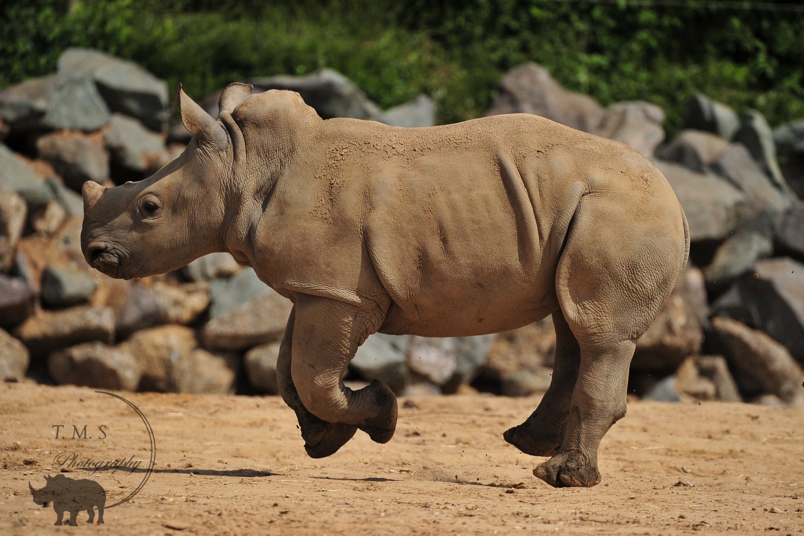 Little Lottie Jumping for joy to see people again