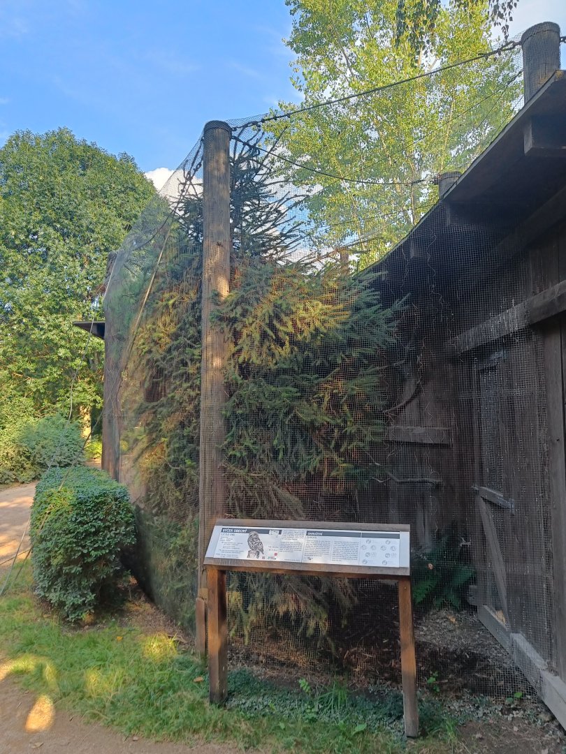 Little Owl aviary - Nature Around Us / Children's Zoo