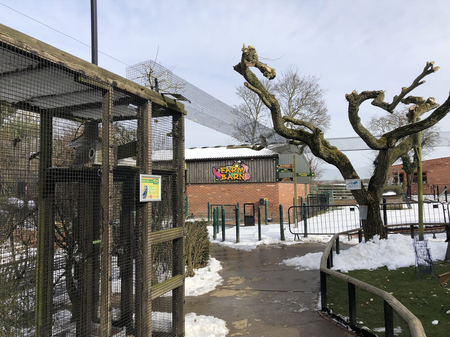 Little Owl Aviary & Transfer Tunnel at Tropical Butterfly House (March 2023)
