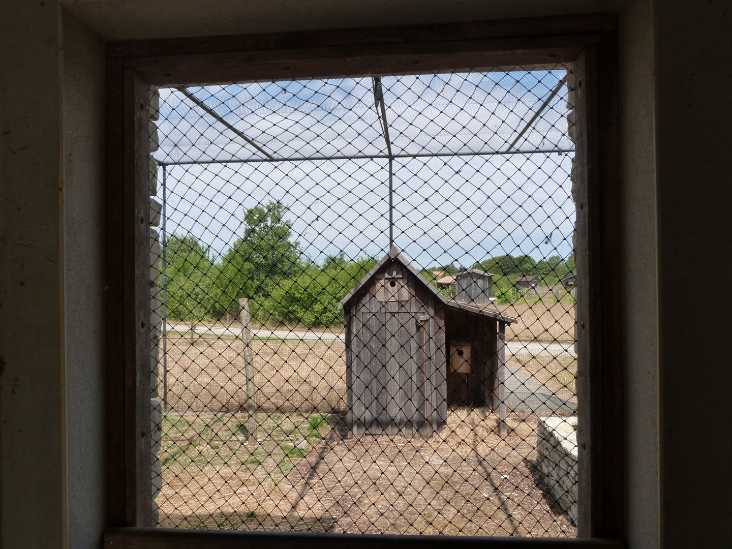Little owl exhibit -Zoodyssée (2025)