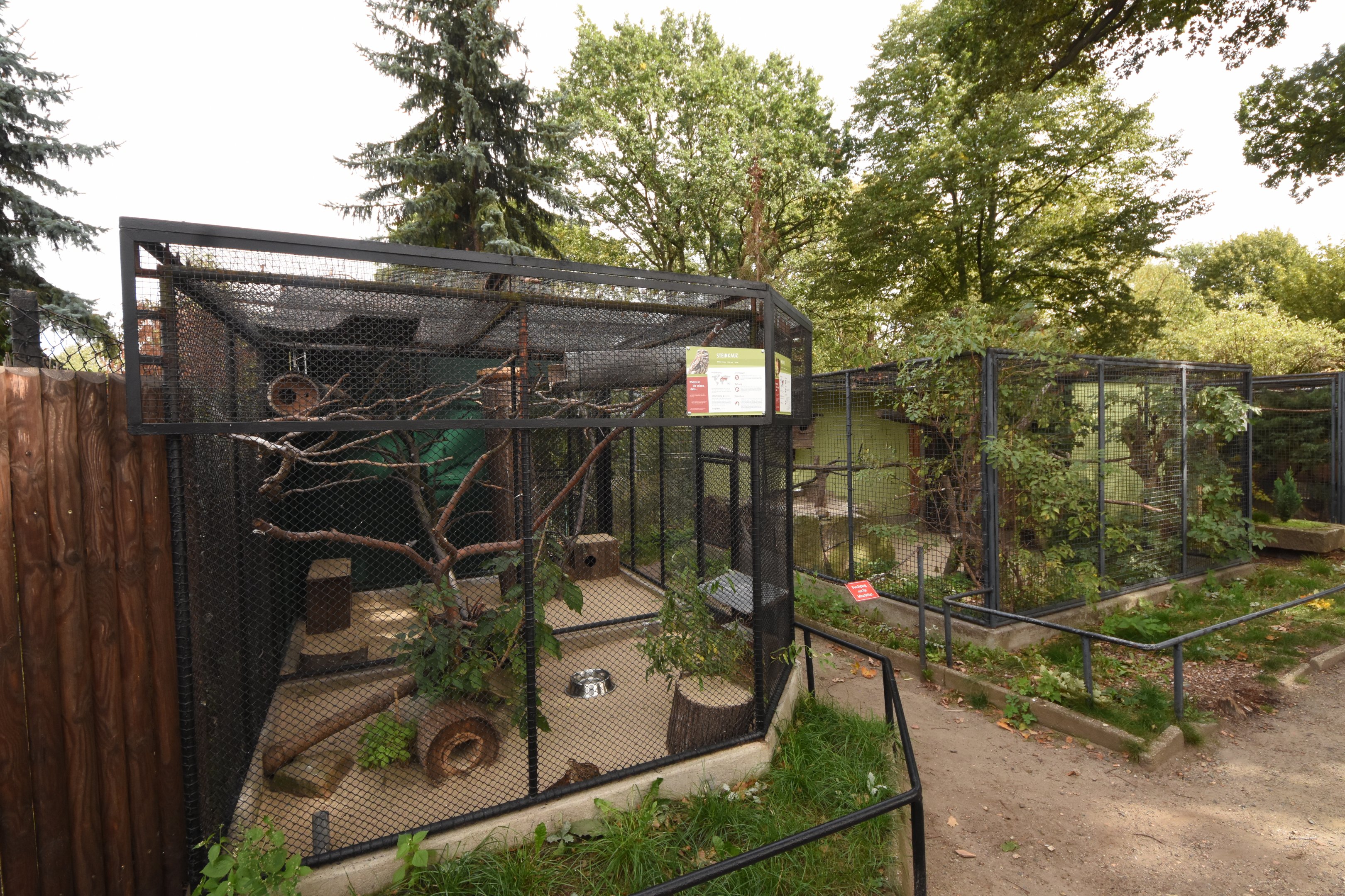 Little owl & Quail aviary