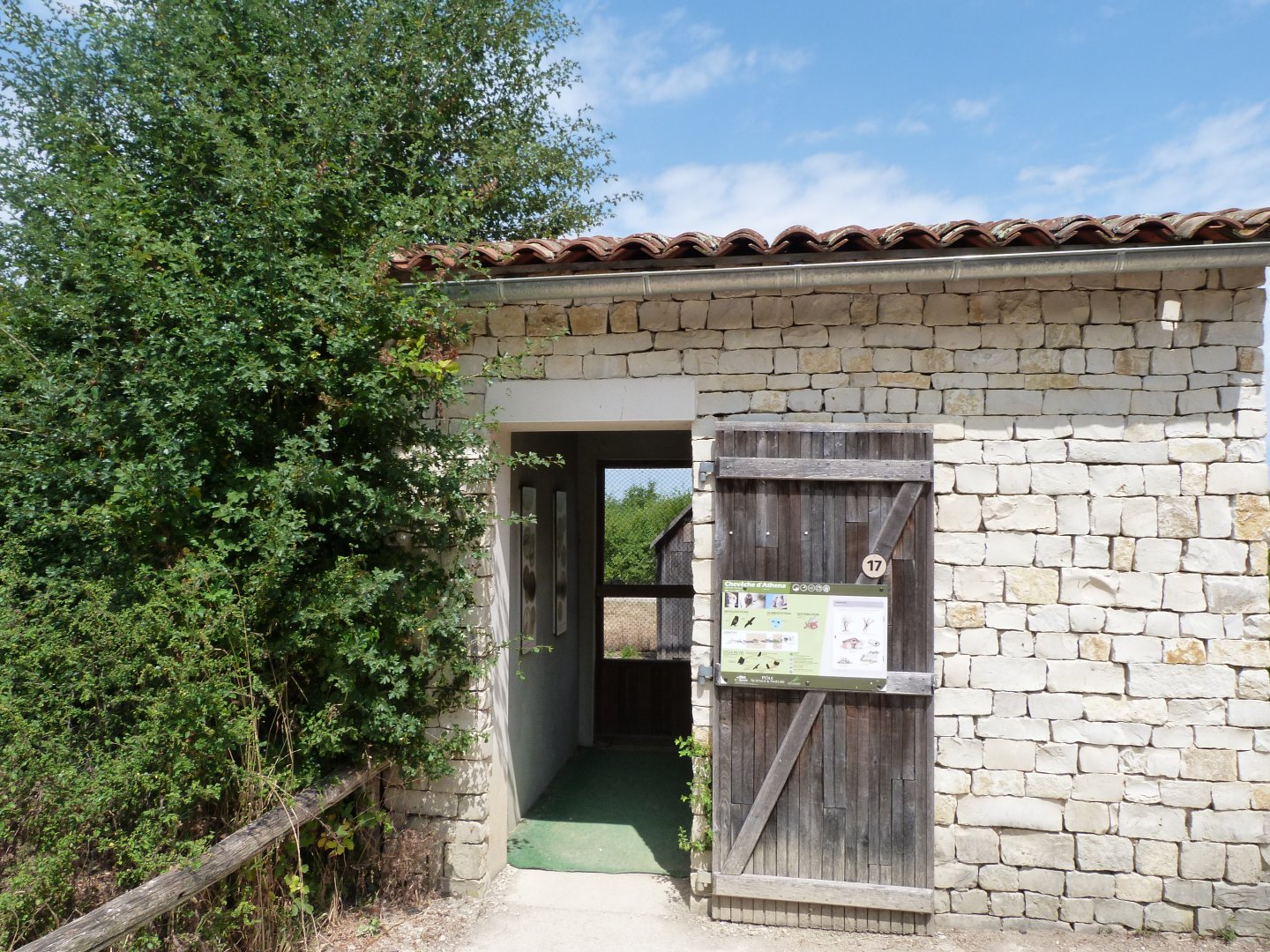 Little owl viewing area -Zoodyssée (2025)