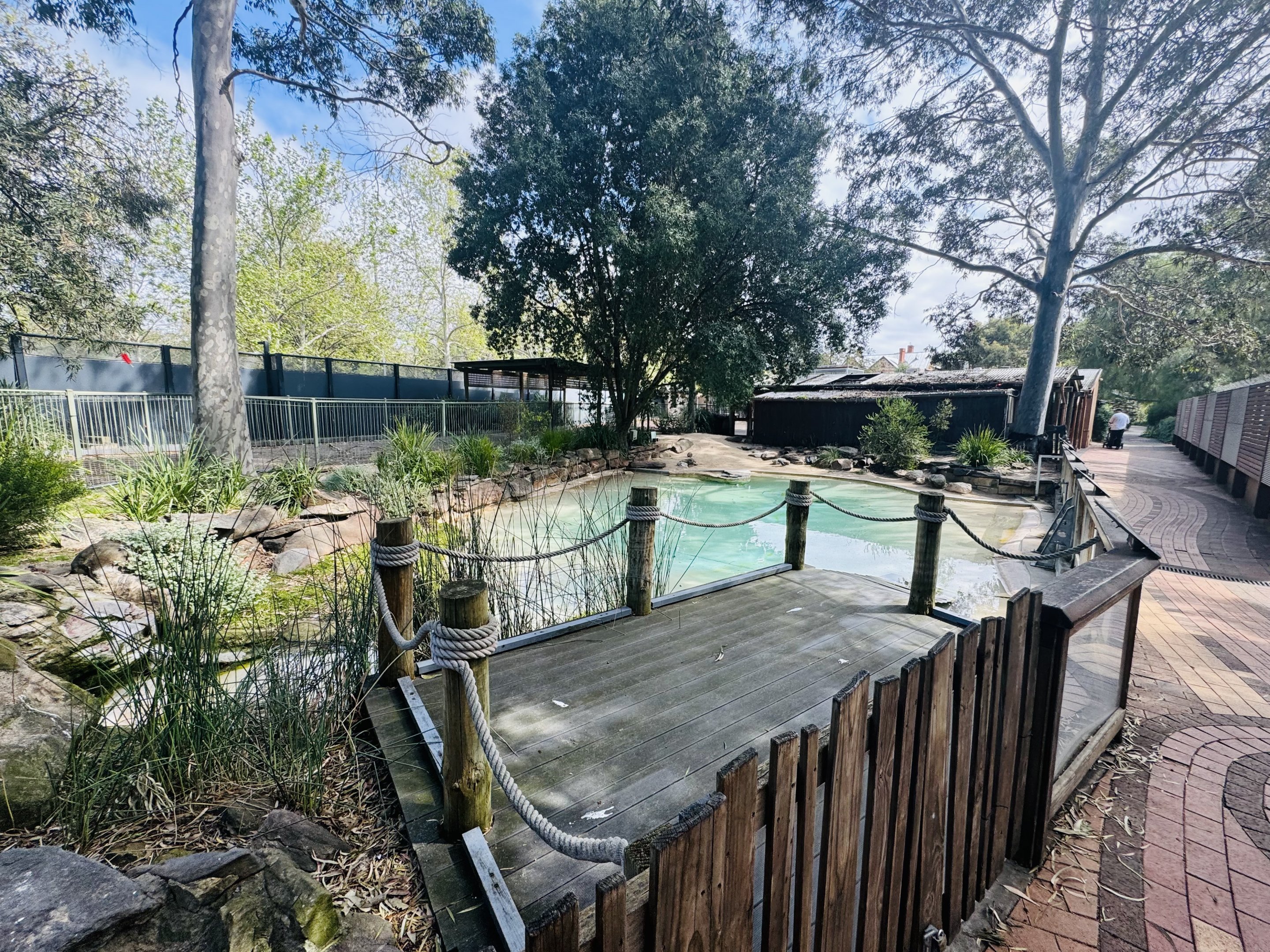 Little Penguin enclosure