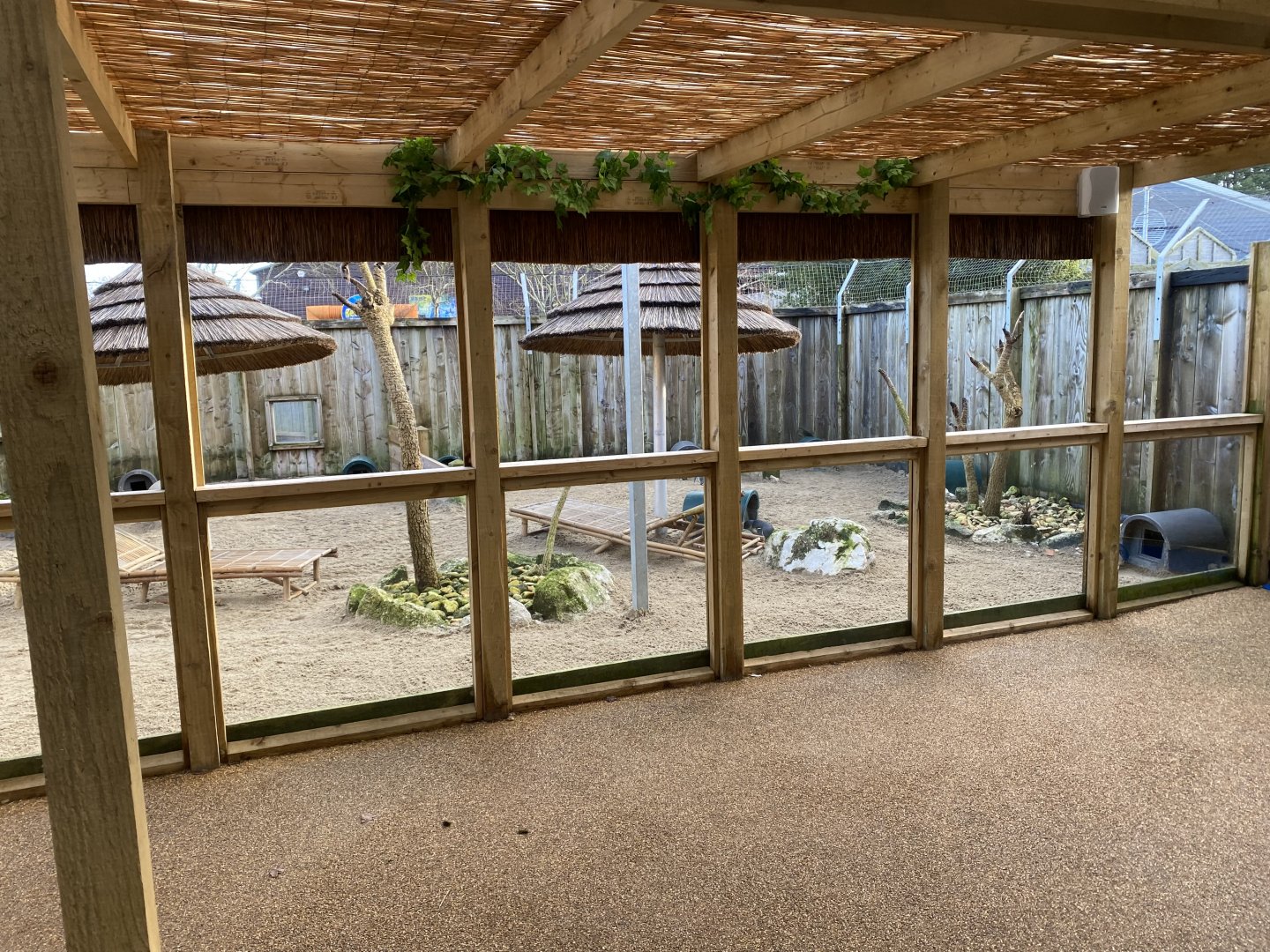 Little penguin exhibit 060125