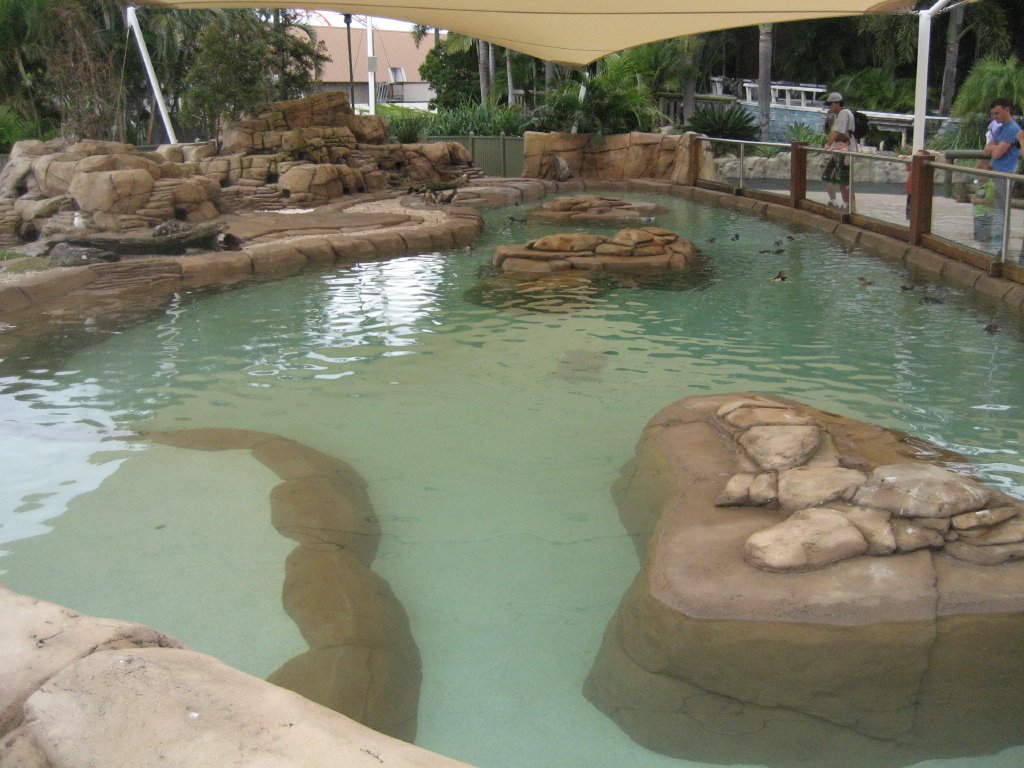 Little Penguin exhibit