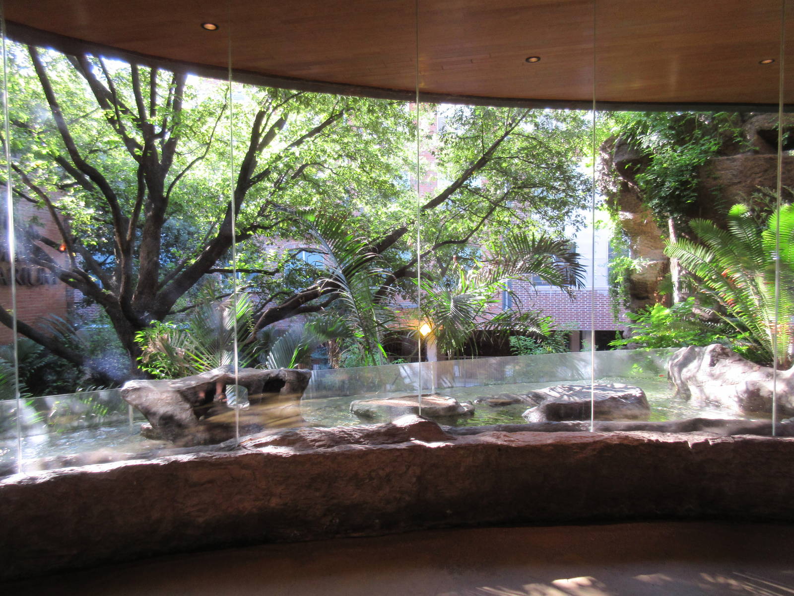 Little Penguin Exhibit