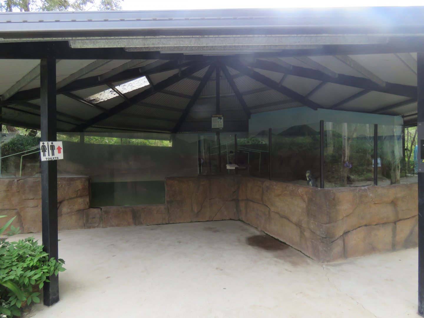 Little Penguin Exhibit