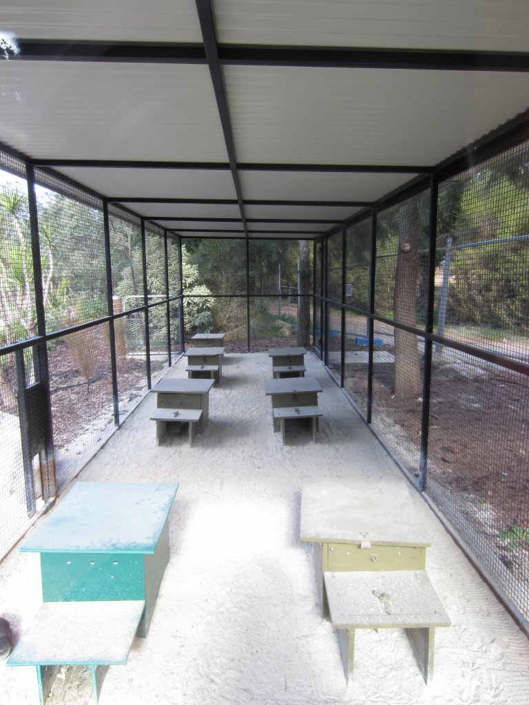 Little Penguin nestboxes